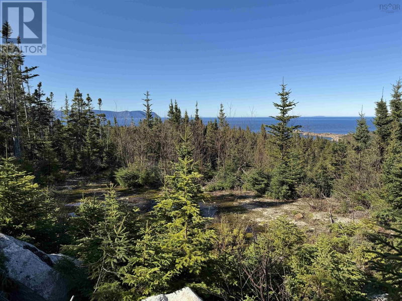 Tertiary Property View