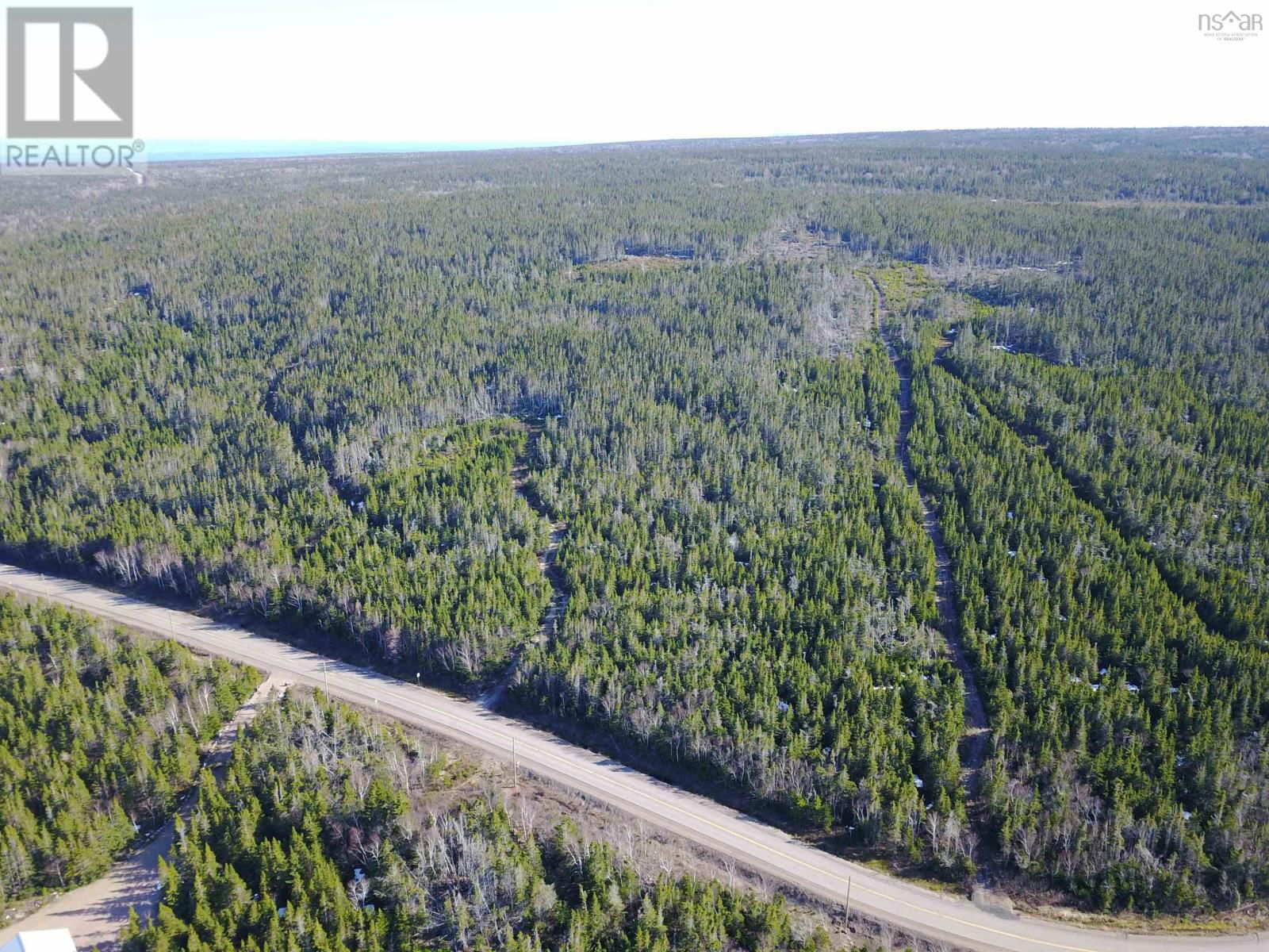 Primary Property View