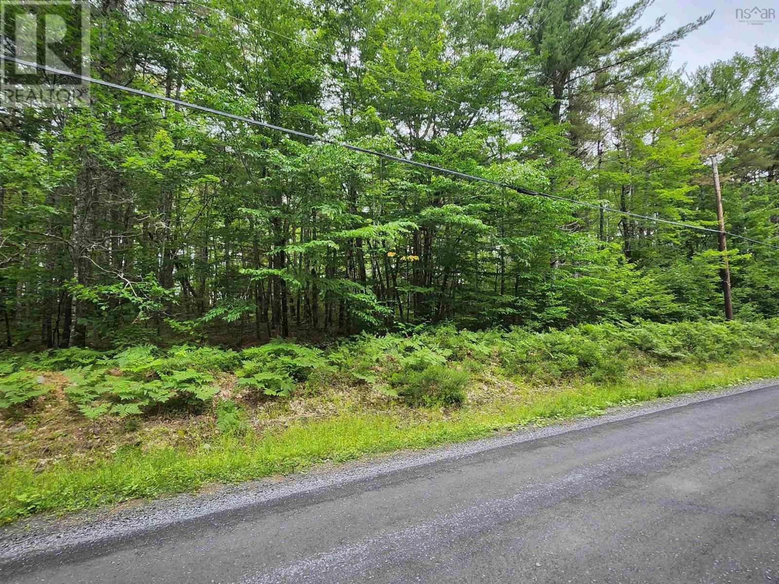 Primary Property View