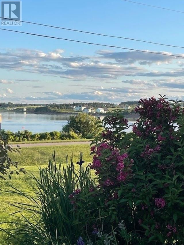 Tertiary Property View