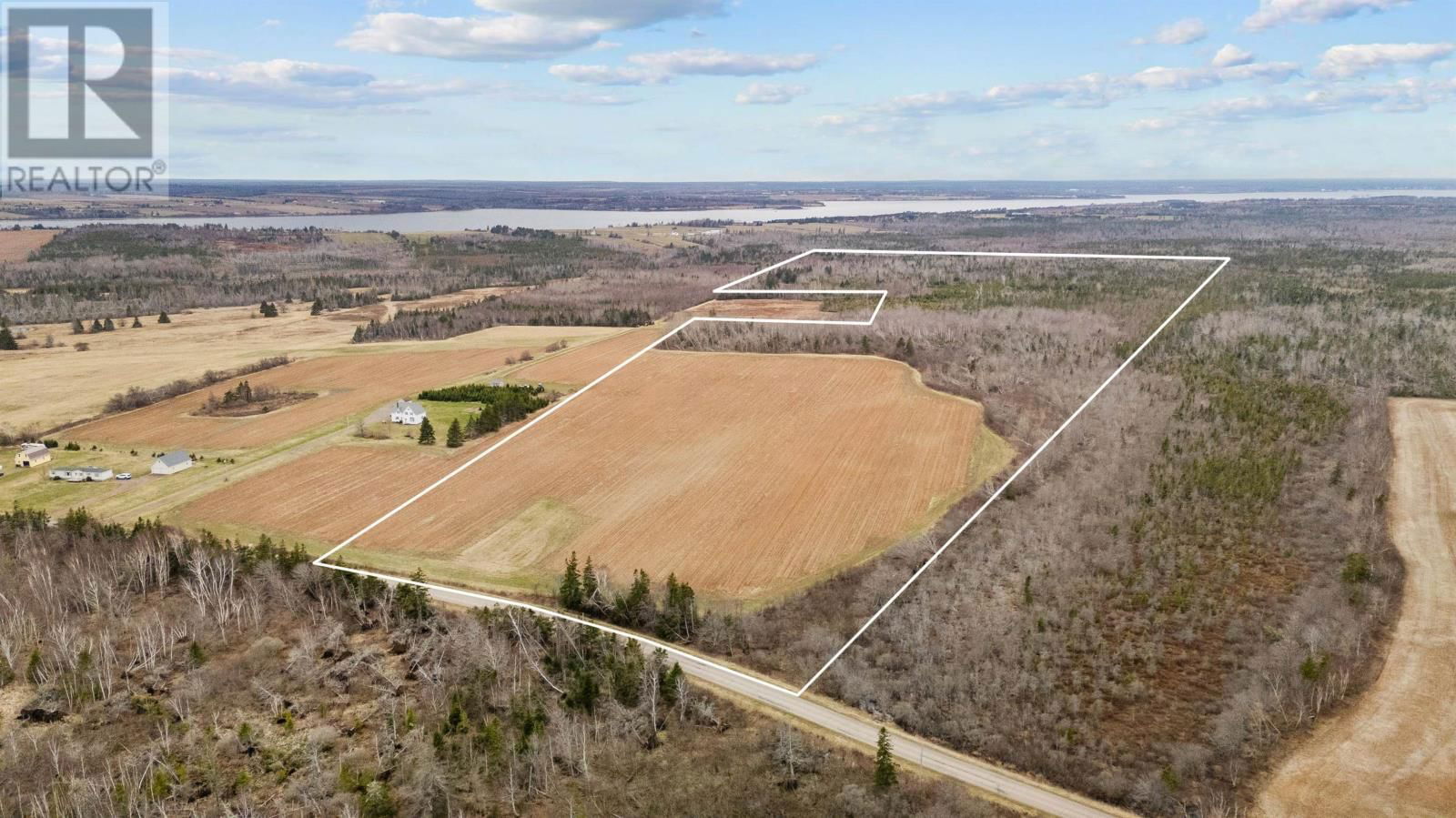 Primary Property View