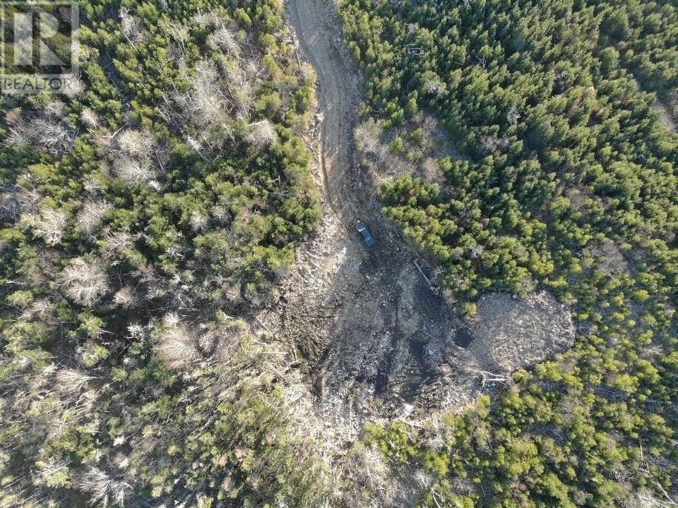 819 WEST LAWRENCETOWN ROAD Image 4