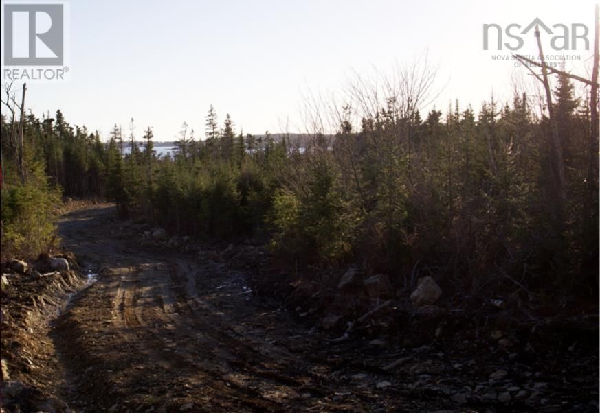 819 WEST LAWRENCETOWN ROAD Image 8