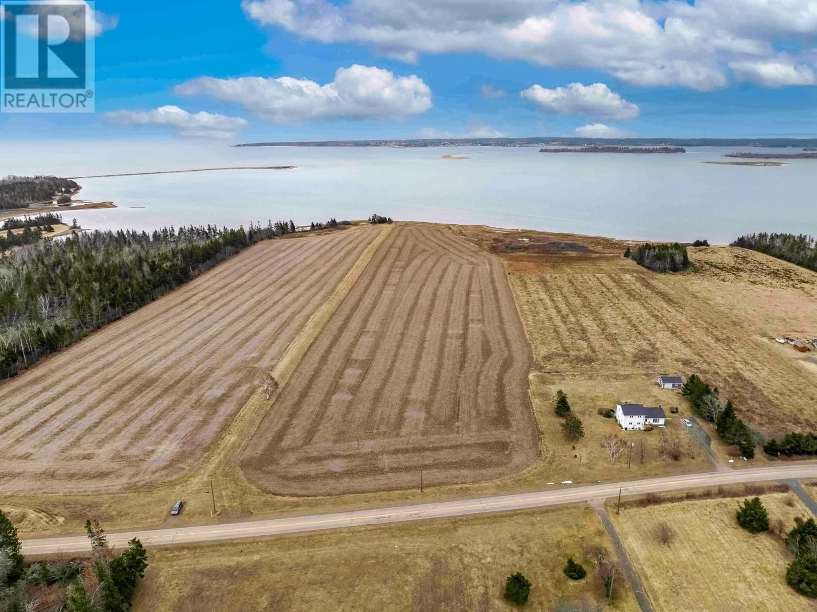 Primary Property View