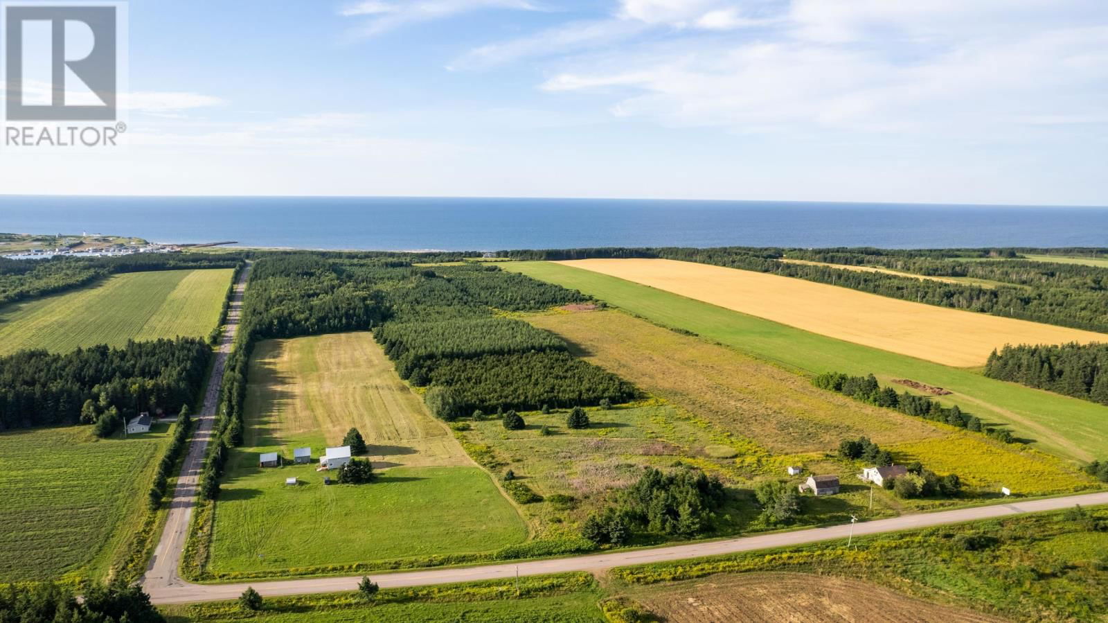 Primary Property View