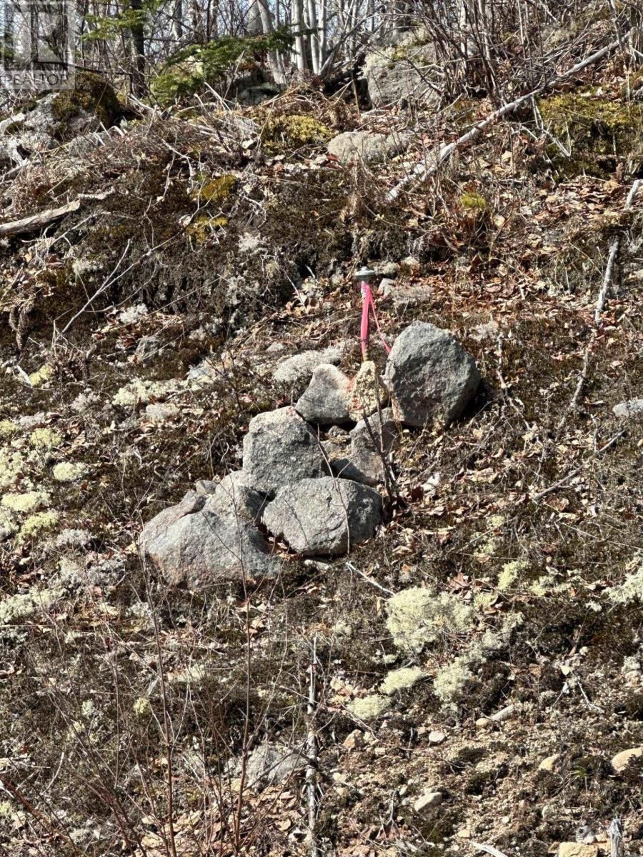 Lot 7 NORTH RIVER ROAD Image 17