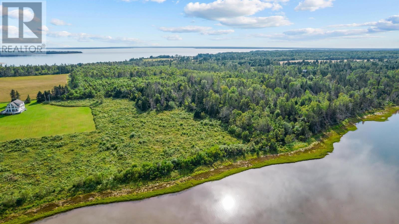 Primary Property View