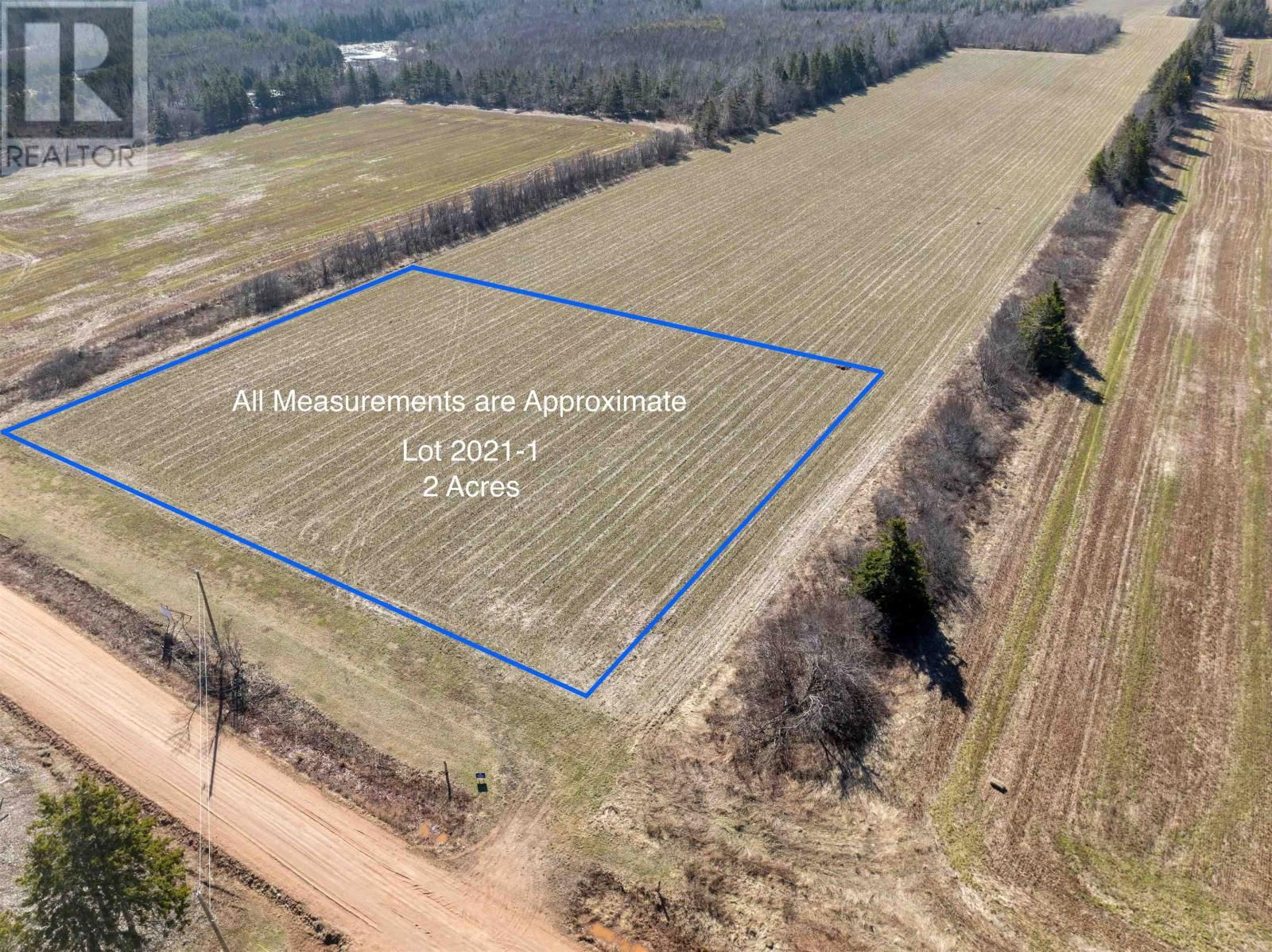 Primary Property View