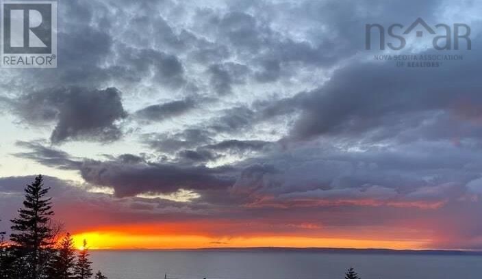 54 COVE ROAD Image 37