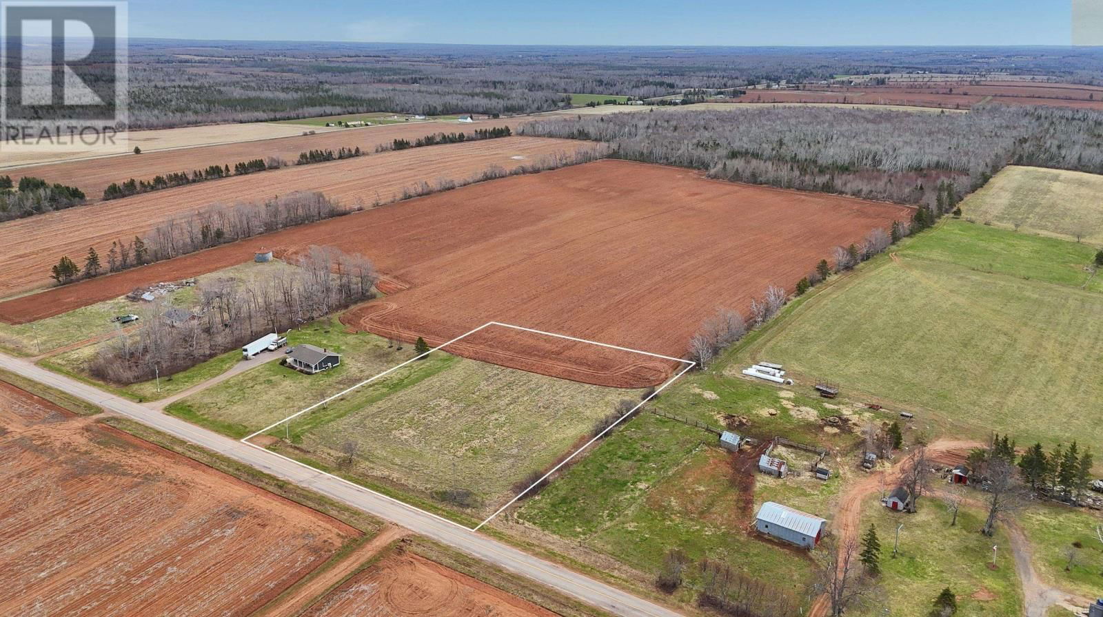 Primary Property View