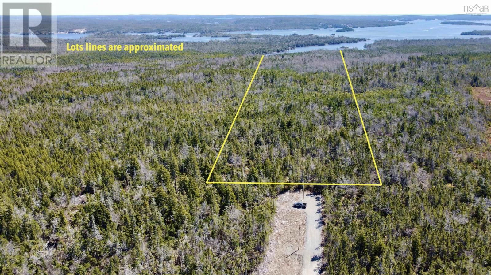 Primary Property View