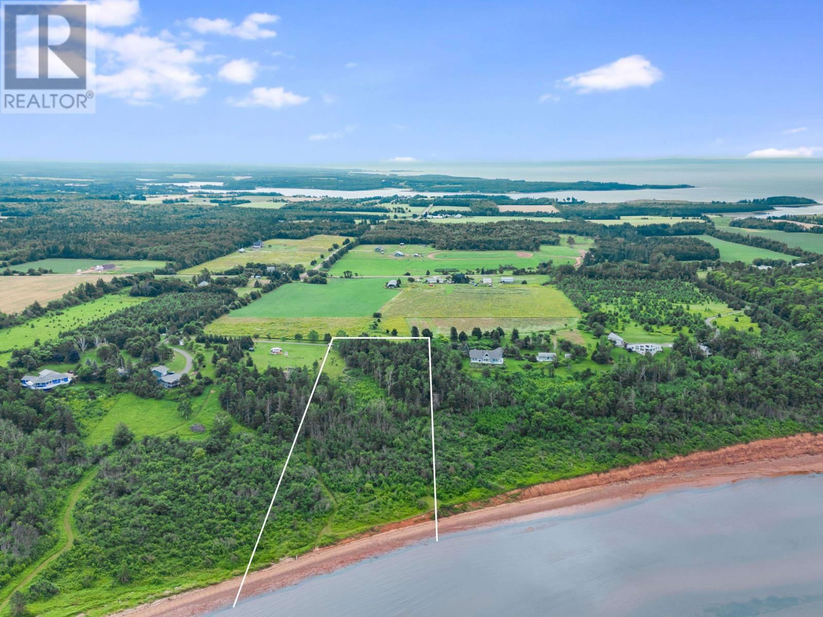 Primary Property View