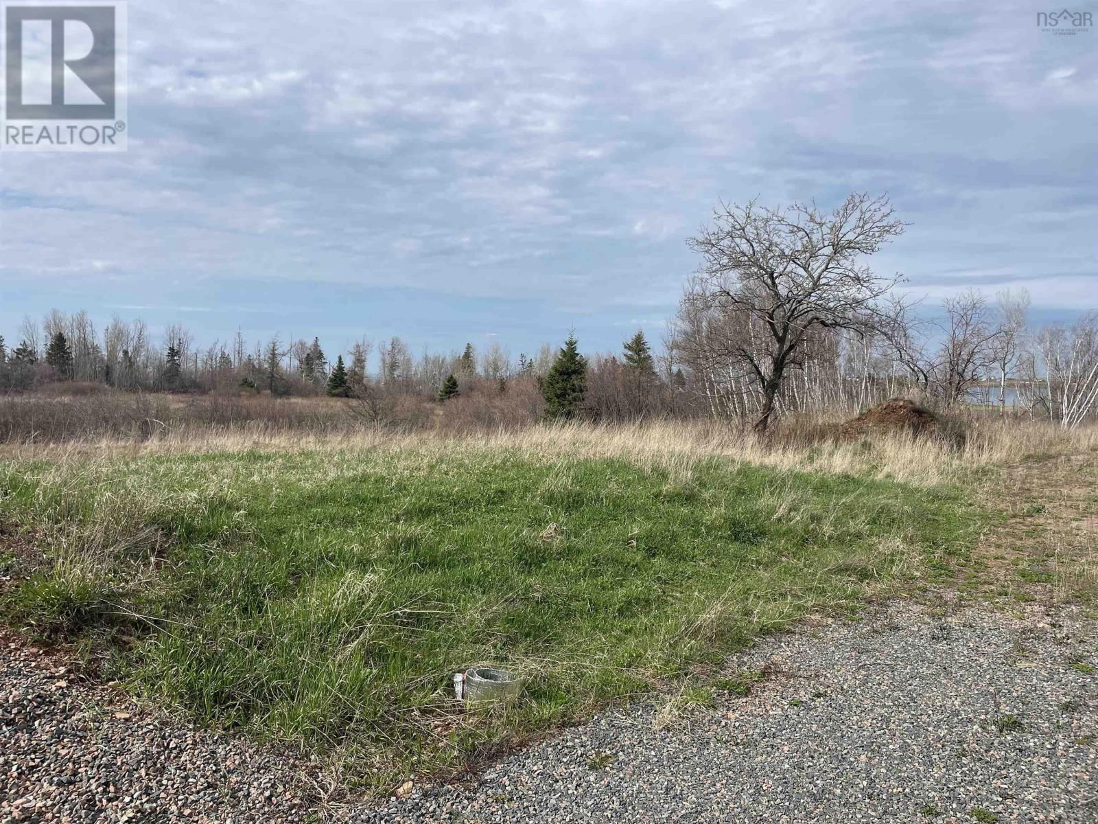 Primary Property View