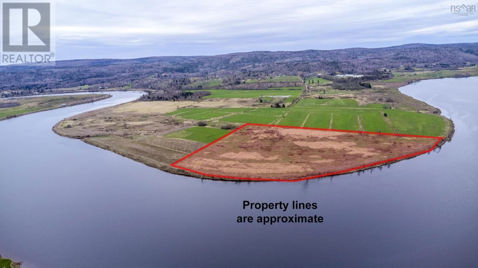 Primary Property View