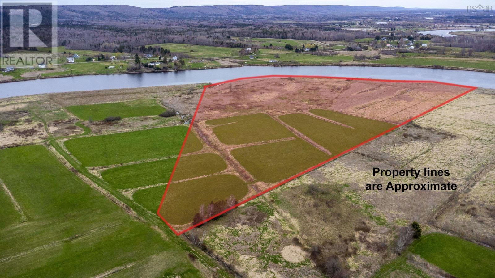 Primary Property View