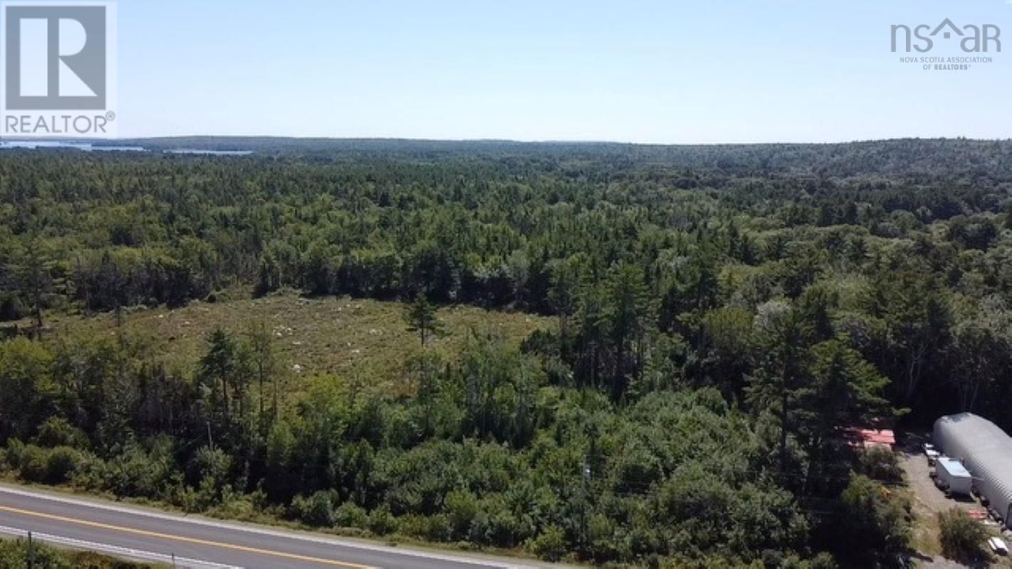 Primary Property View