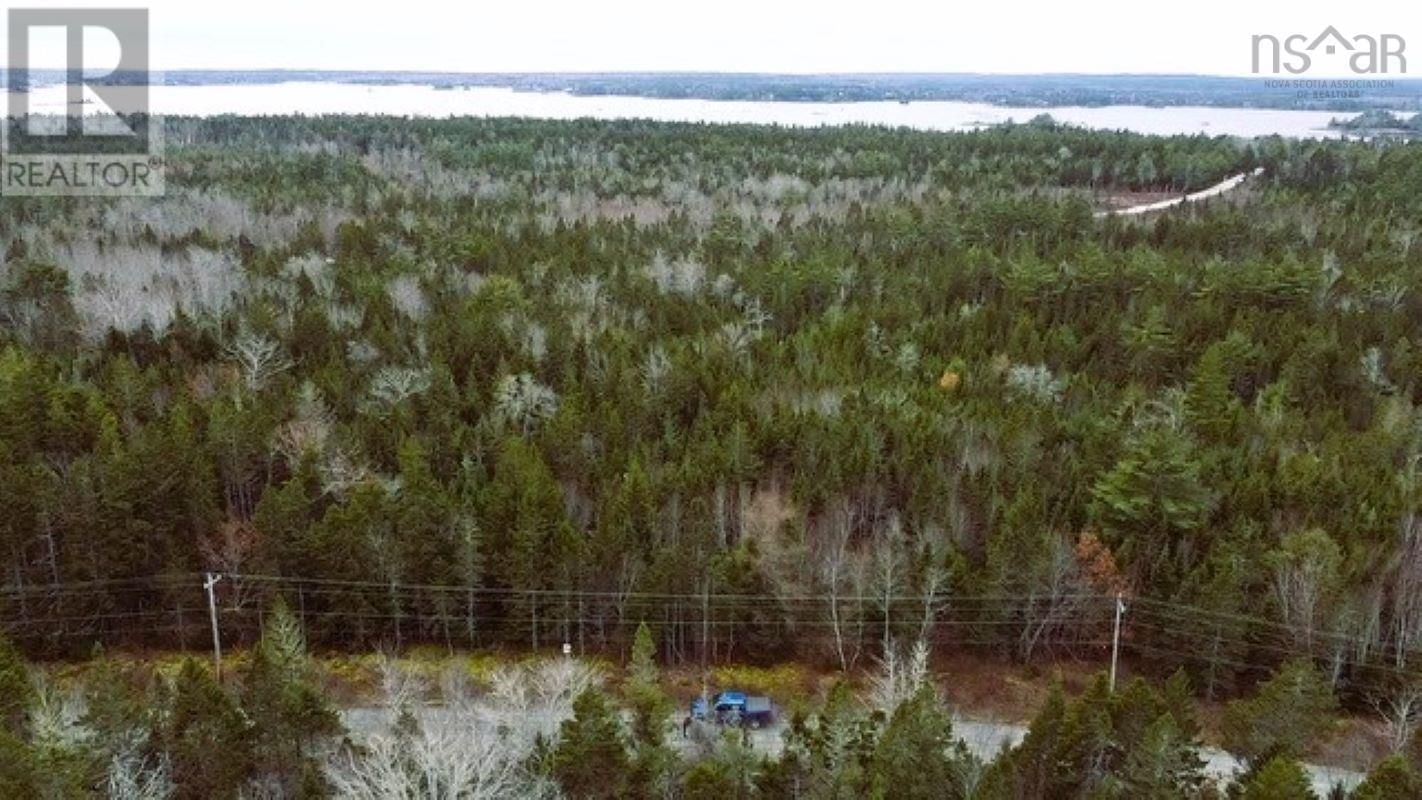 Primary Property View
