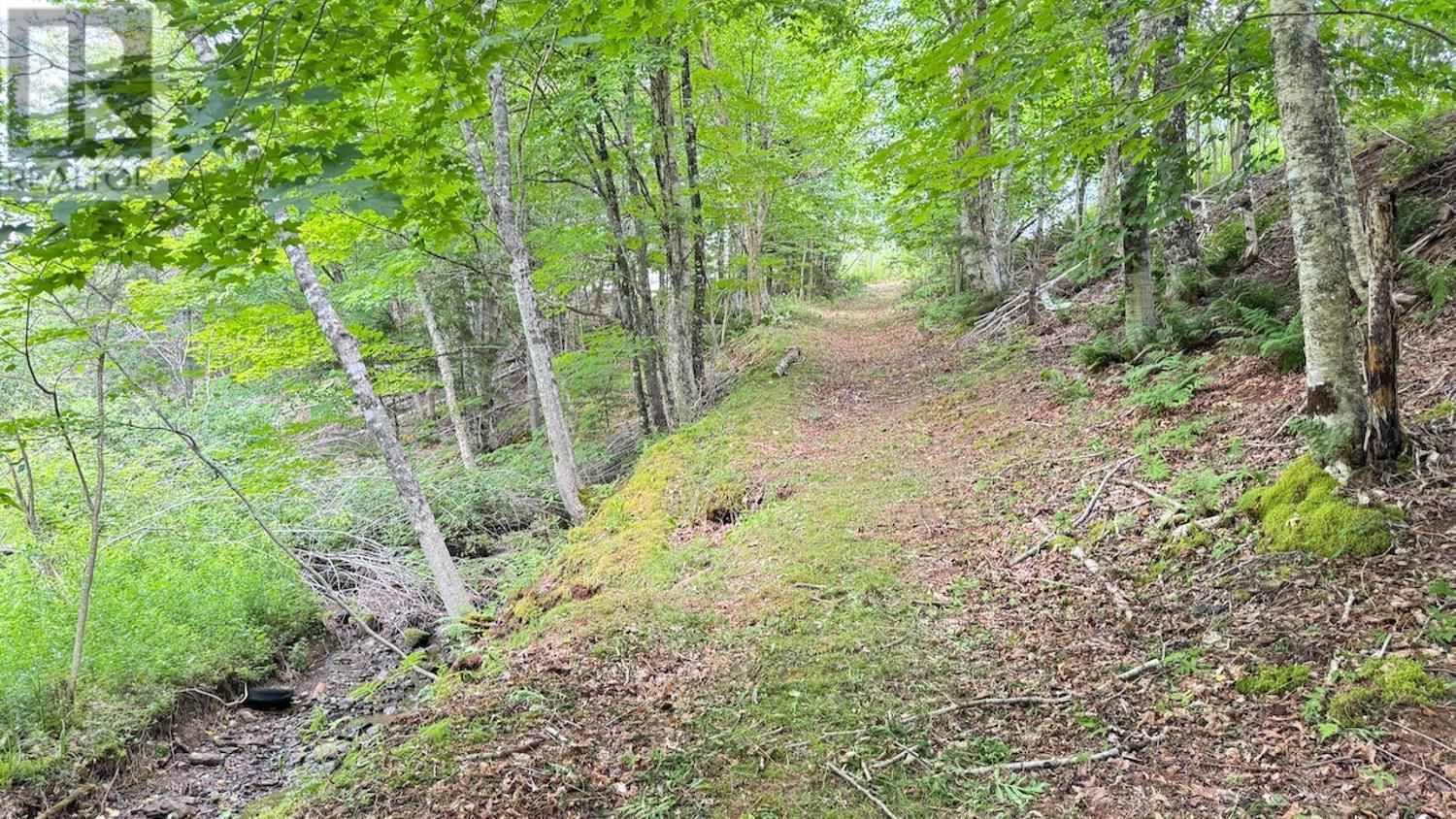 789 OLD TATAMAGOUCHE ROAD Image 20