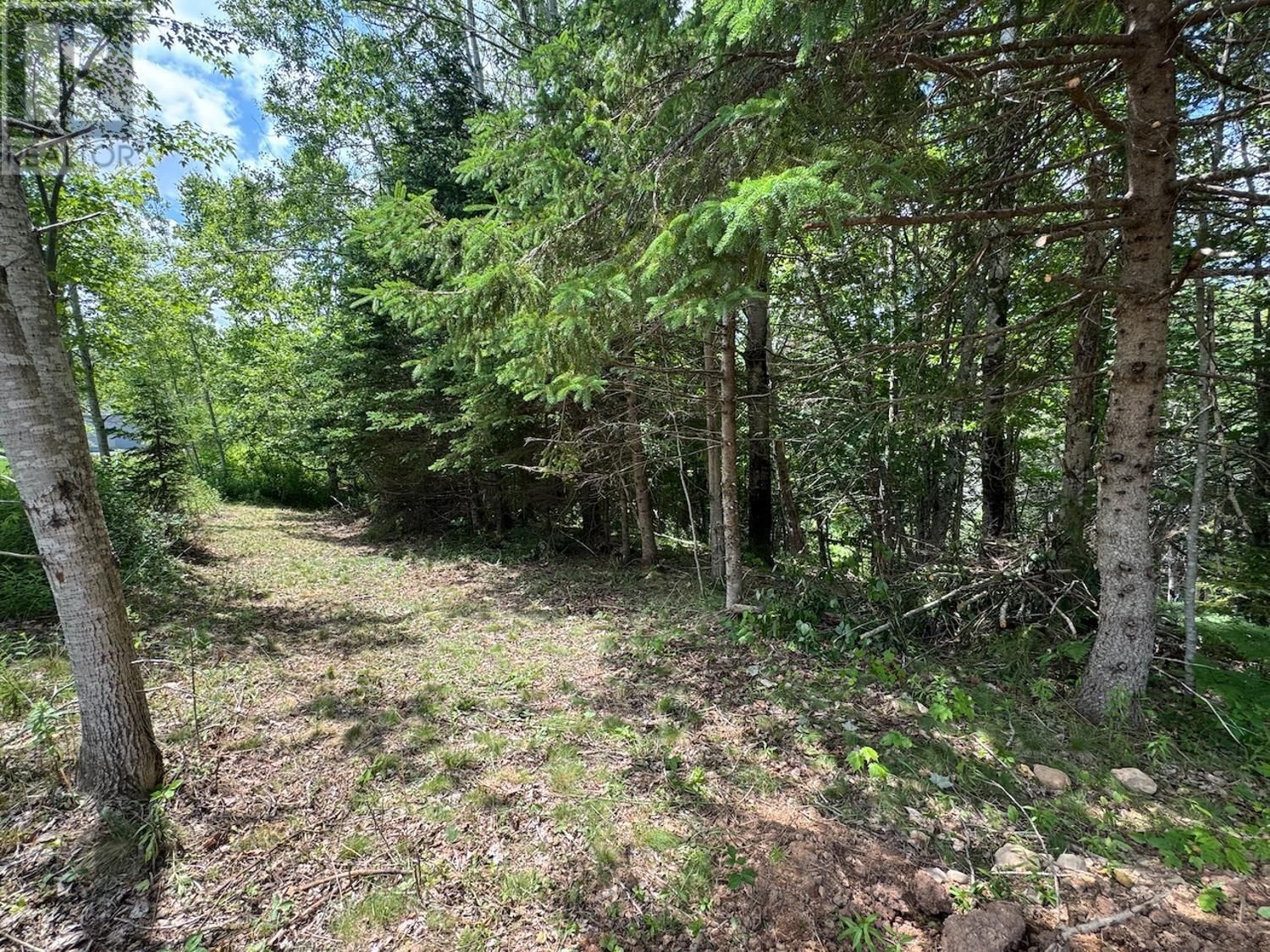 789 OLD TATAMAGOUCHE ROAD Image 21