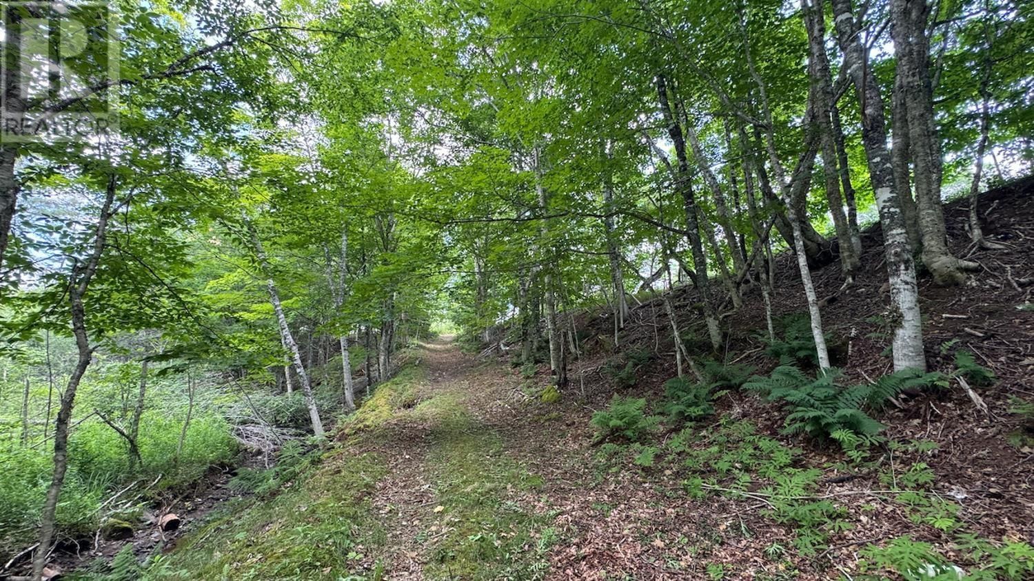 789 OLD TATAMAGOUCHE ROAD Image 29