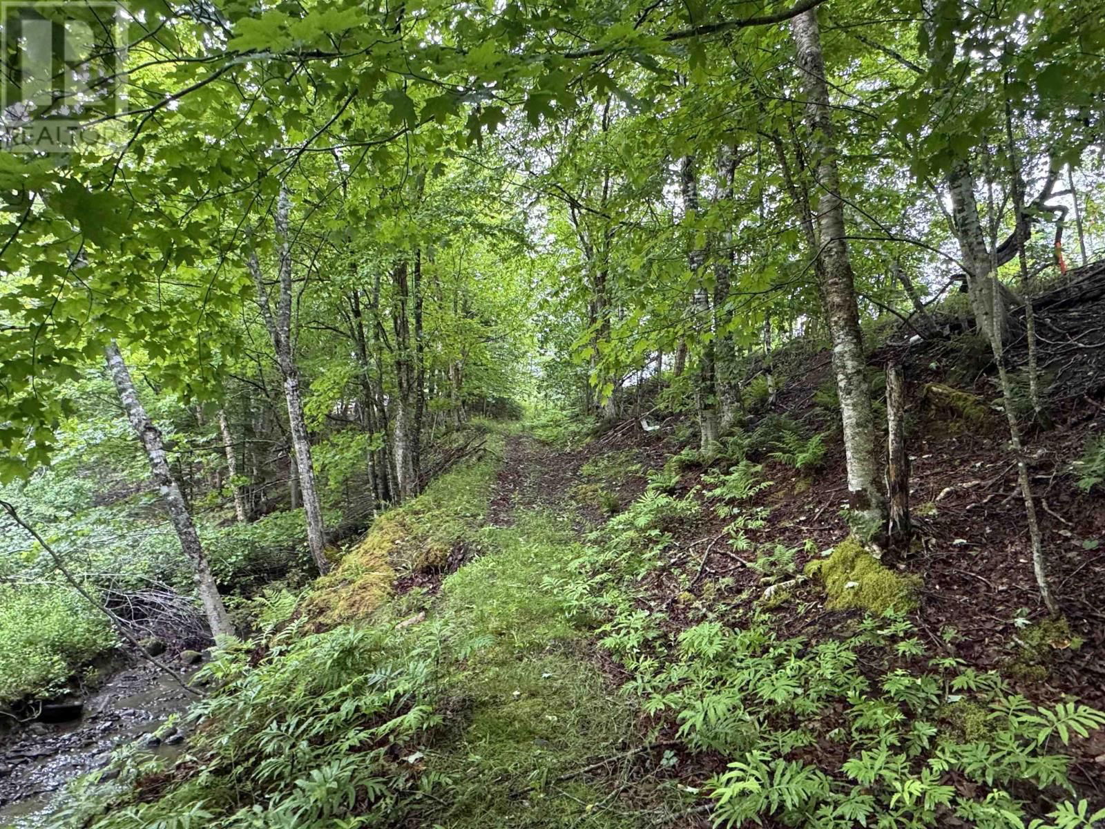 789 OLD TATAMAGOUCHE ROAD Image 30