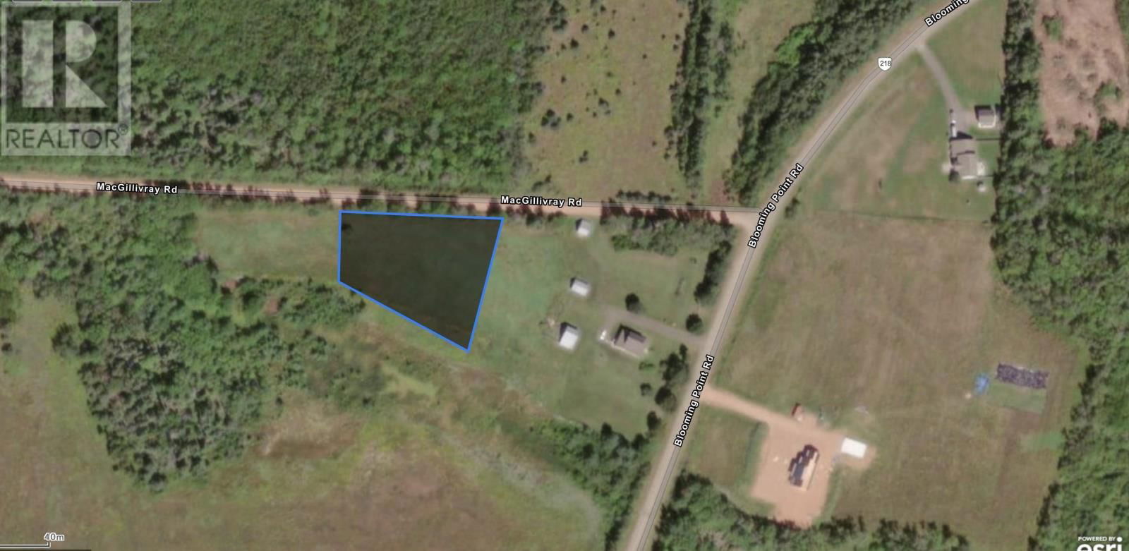 Primary Property View
