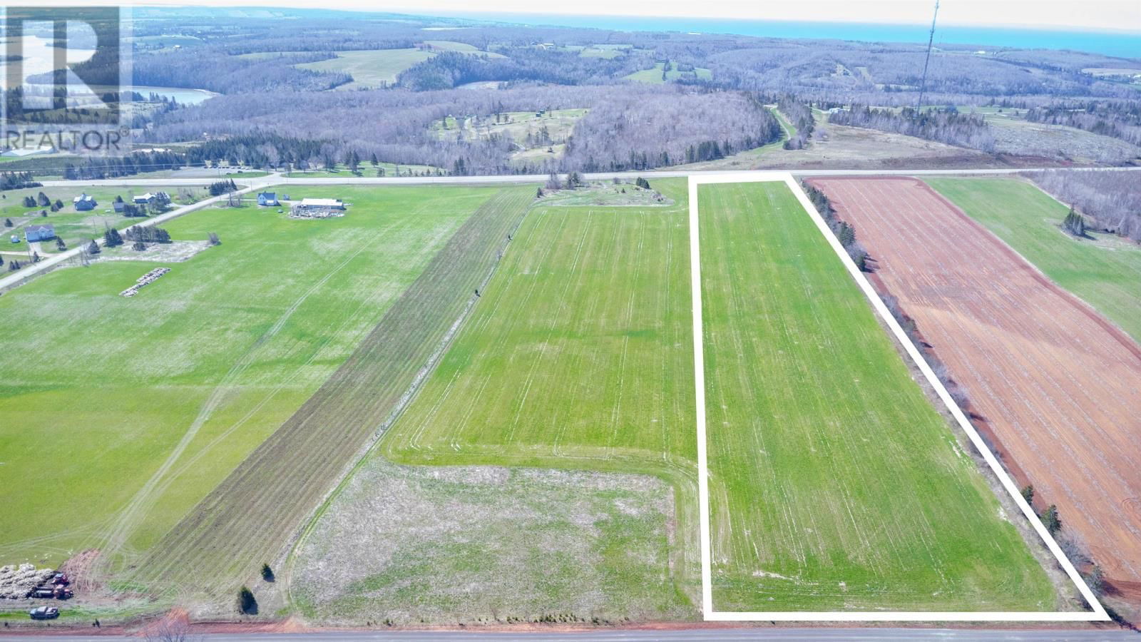 Primary Property View