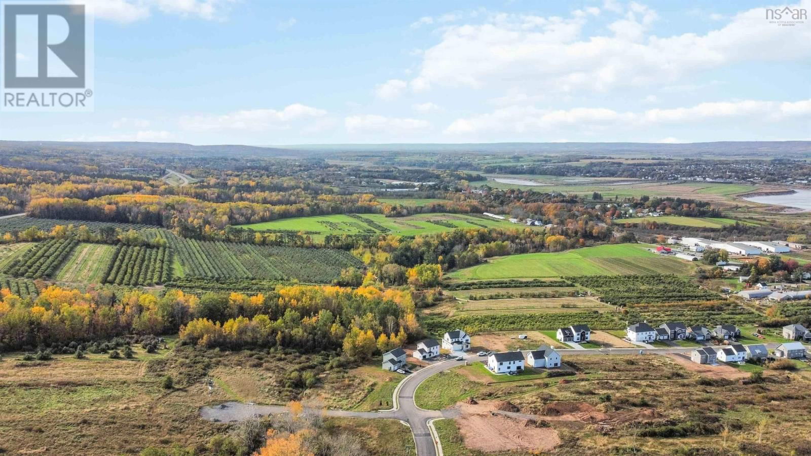 Primary Property View