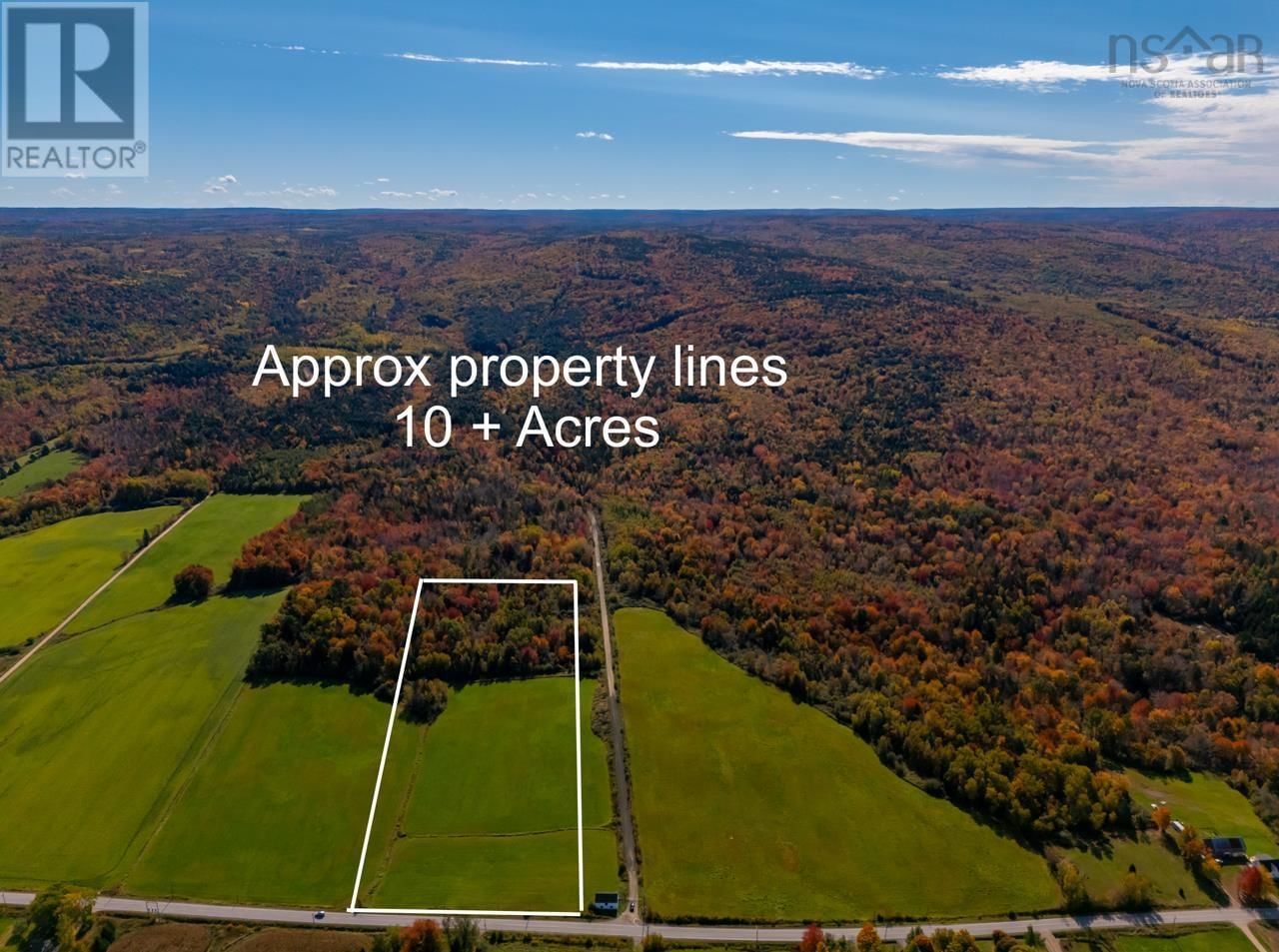 Primary Property View