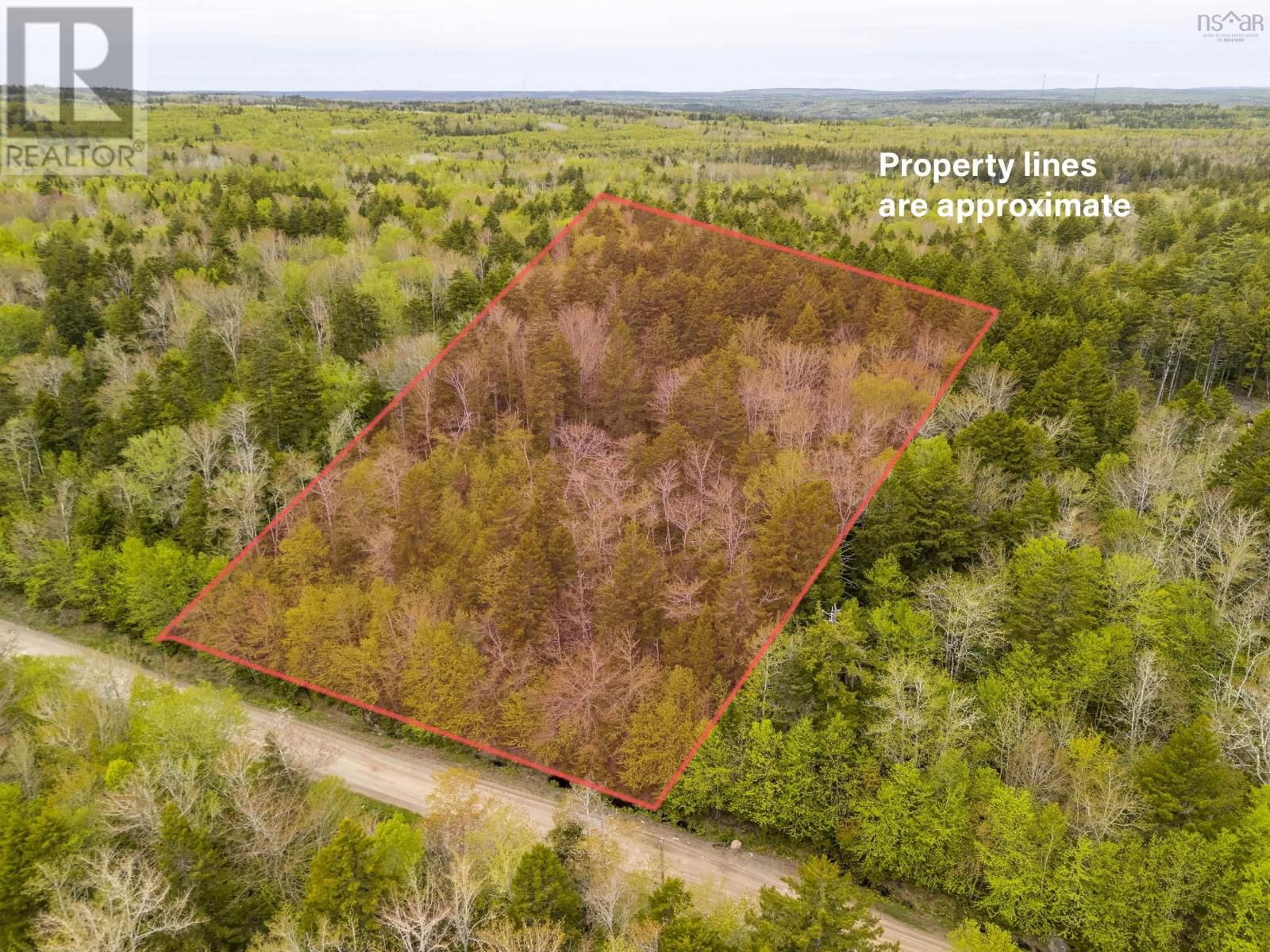 Primary Property View