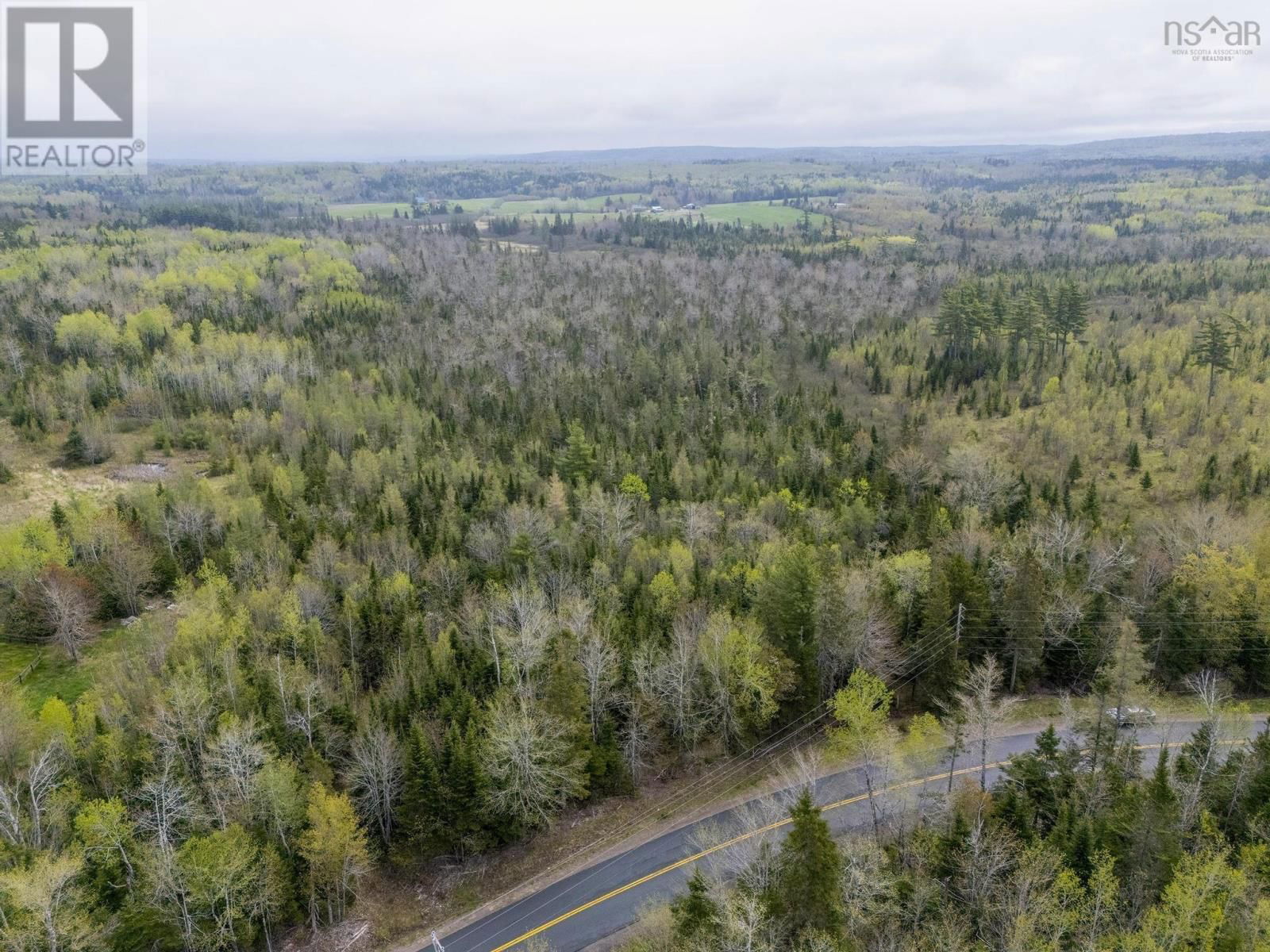 Primary Property View