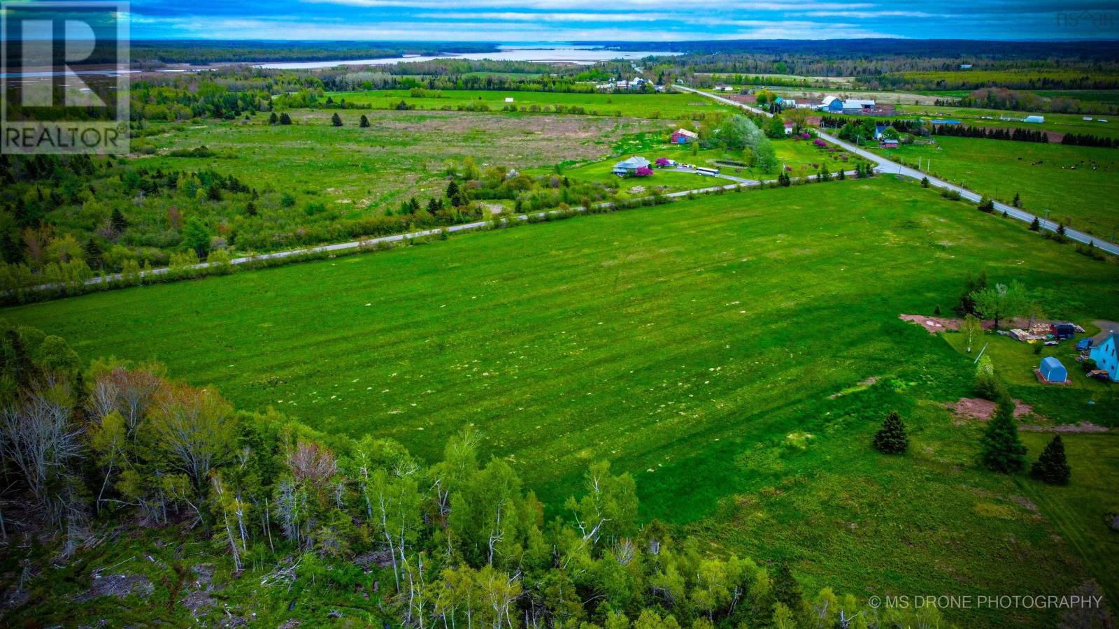 Primary Property View