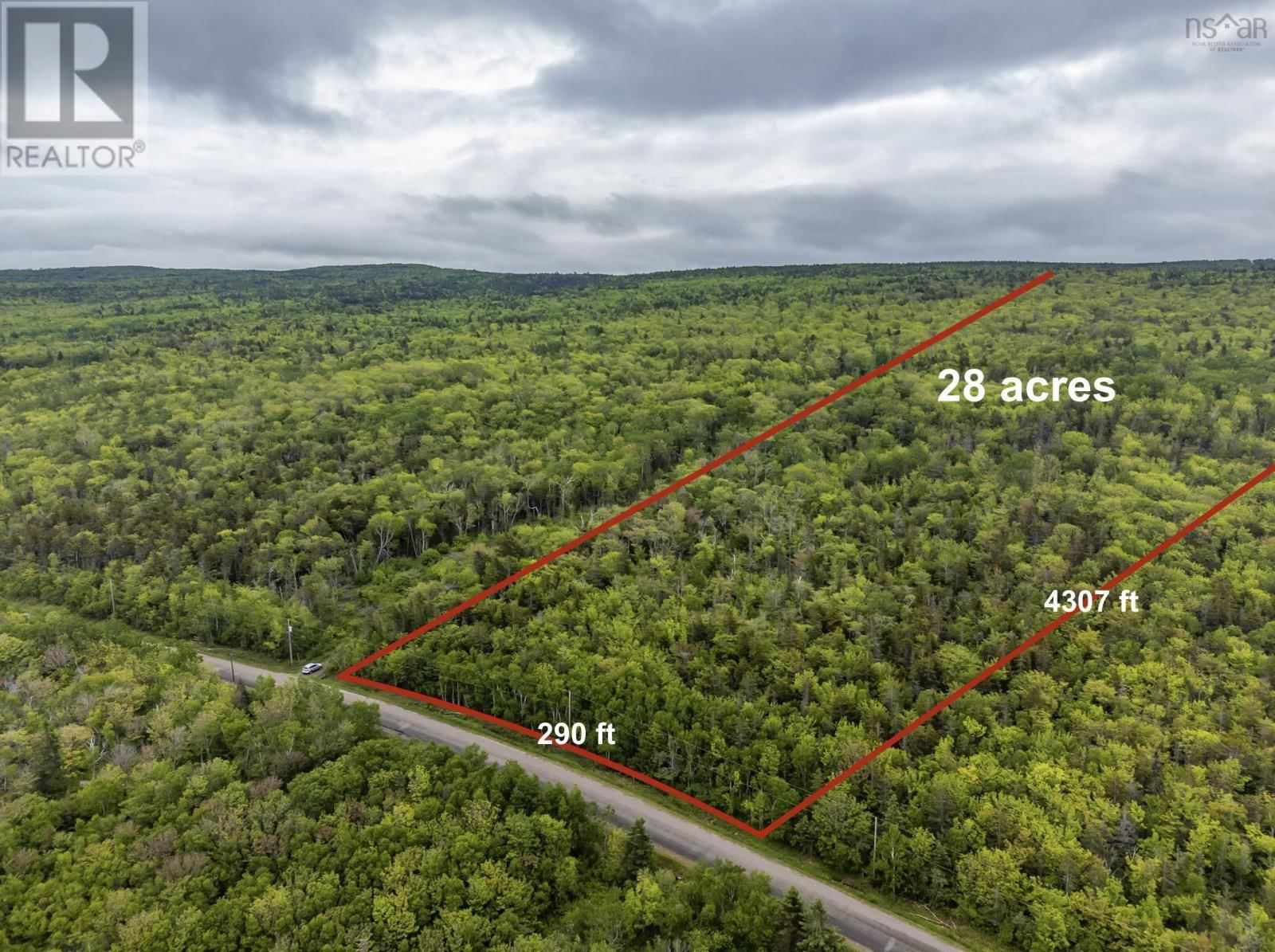 Primary Property View