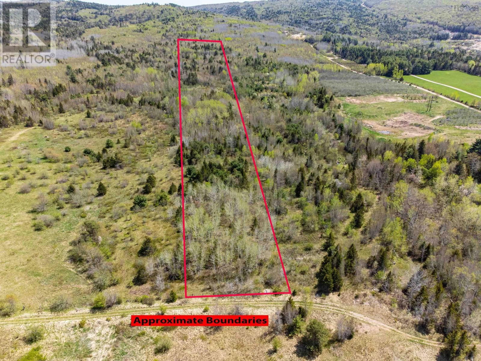 Primary Property View