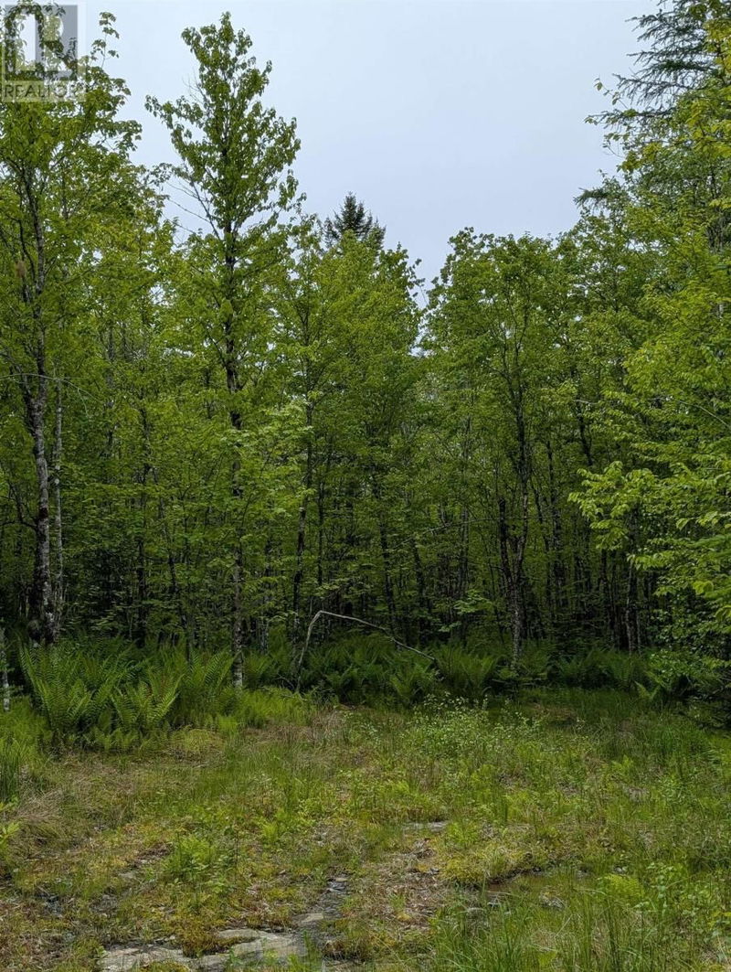Tertiary Property View