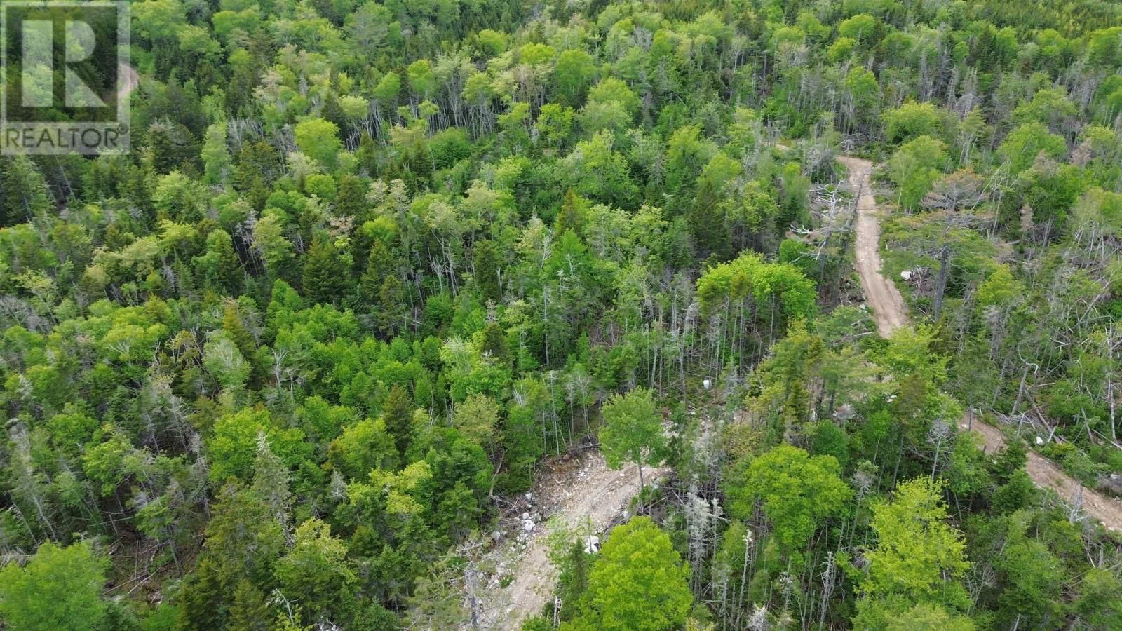 1184 LAKE CHARLOTTE WATER ACCESS WAY Image 4
