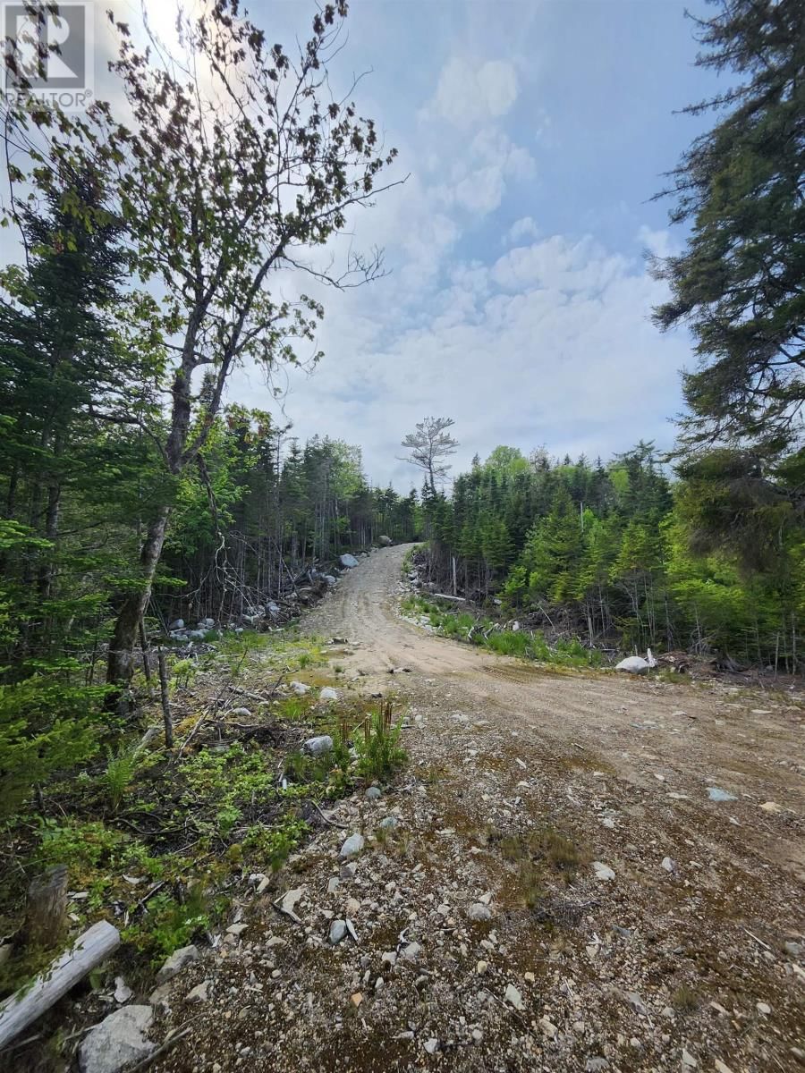 1184 LAKE CHARLOTTE WATER ACCESS WAY Image 7