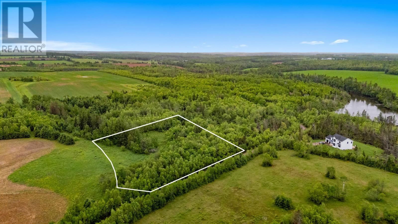 Primary Property View