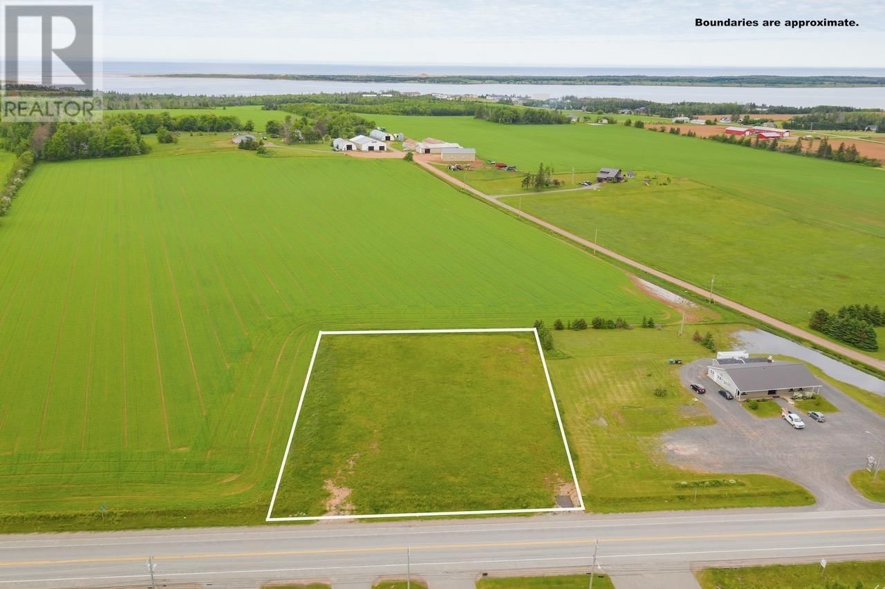 Primary Property View