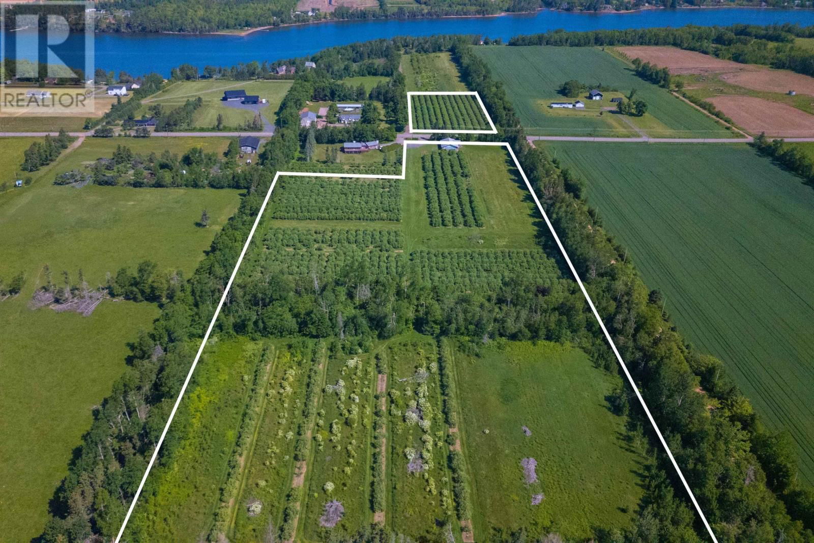 Primary Property View