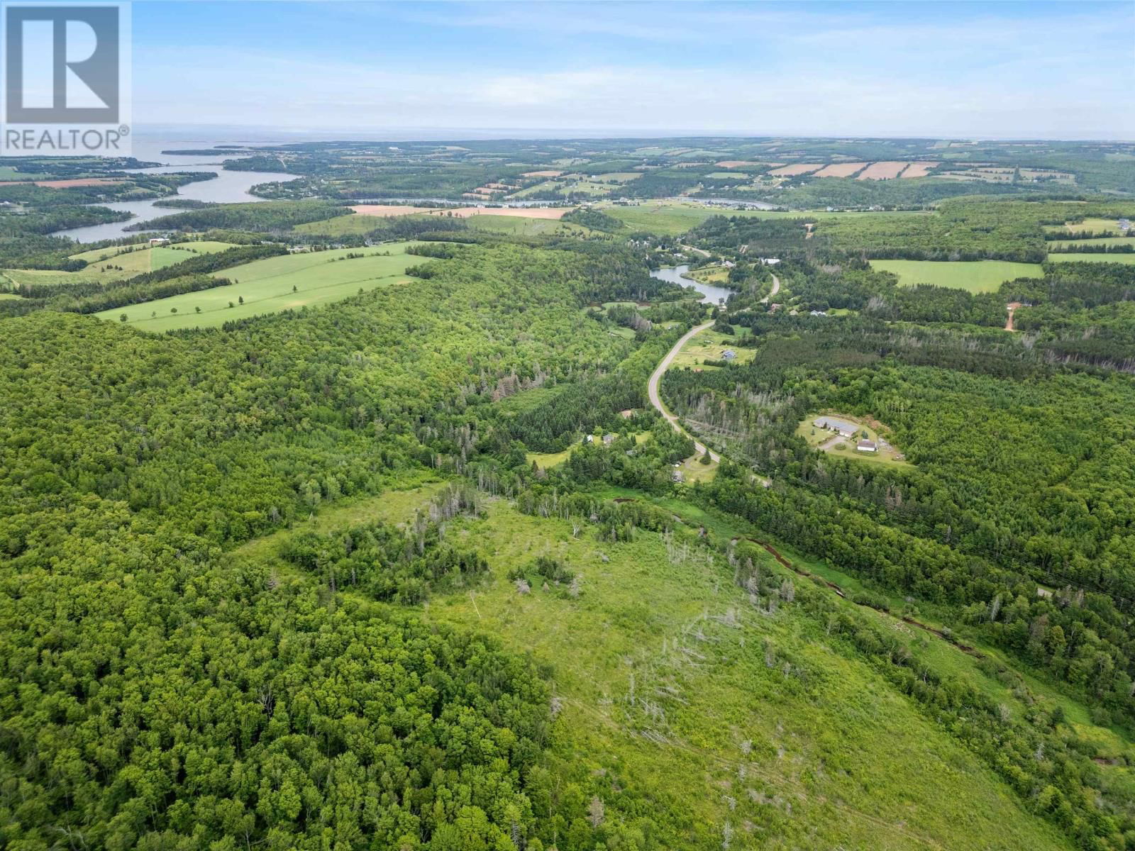 Primary Property View