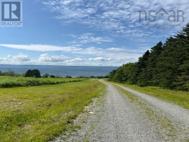 Primary Property View