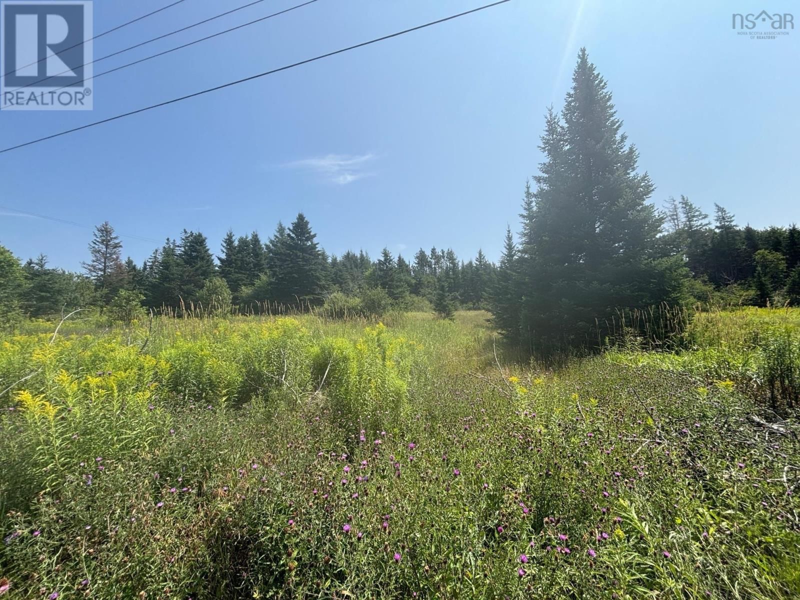 128 NEW RIVER ROAD Image 3