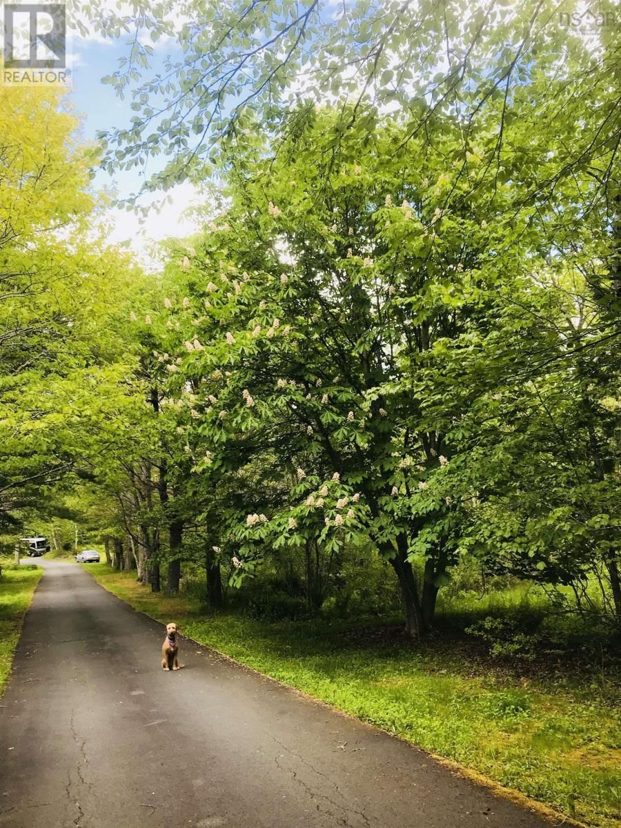 15 COTTAGE LANE Image 1