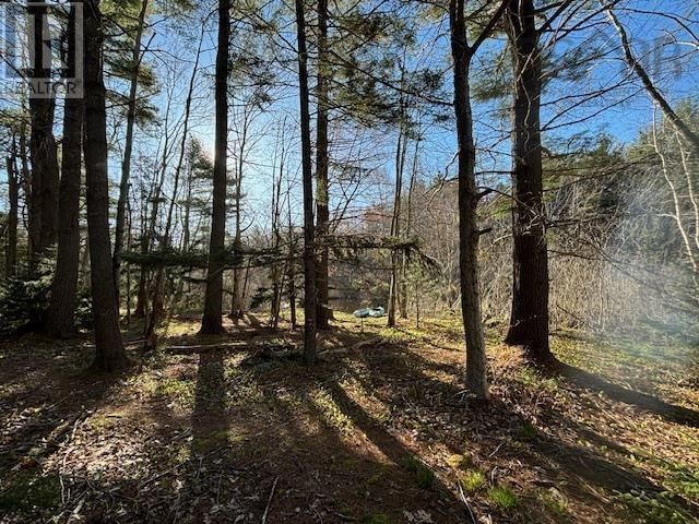 15 COTTAGE LANE Image 10