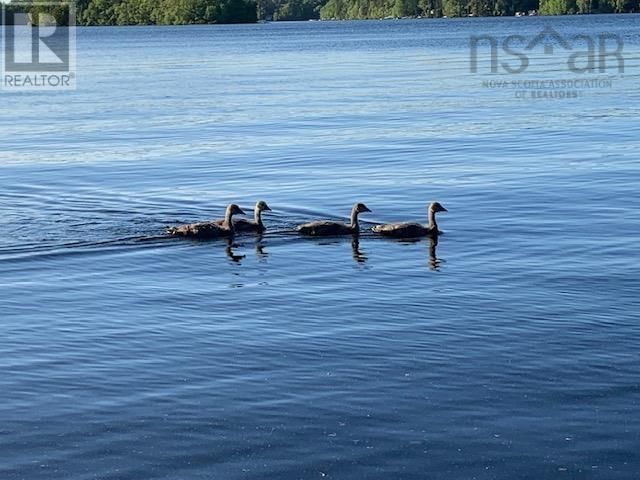 15 COTTAGE LANE Image 13