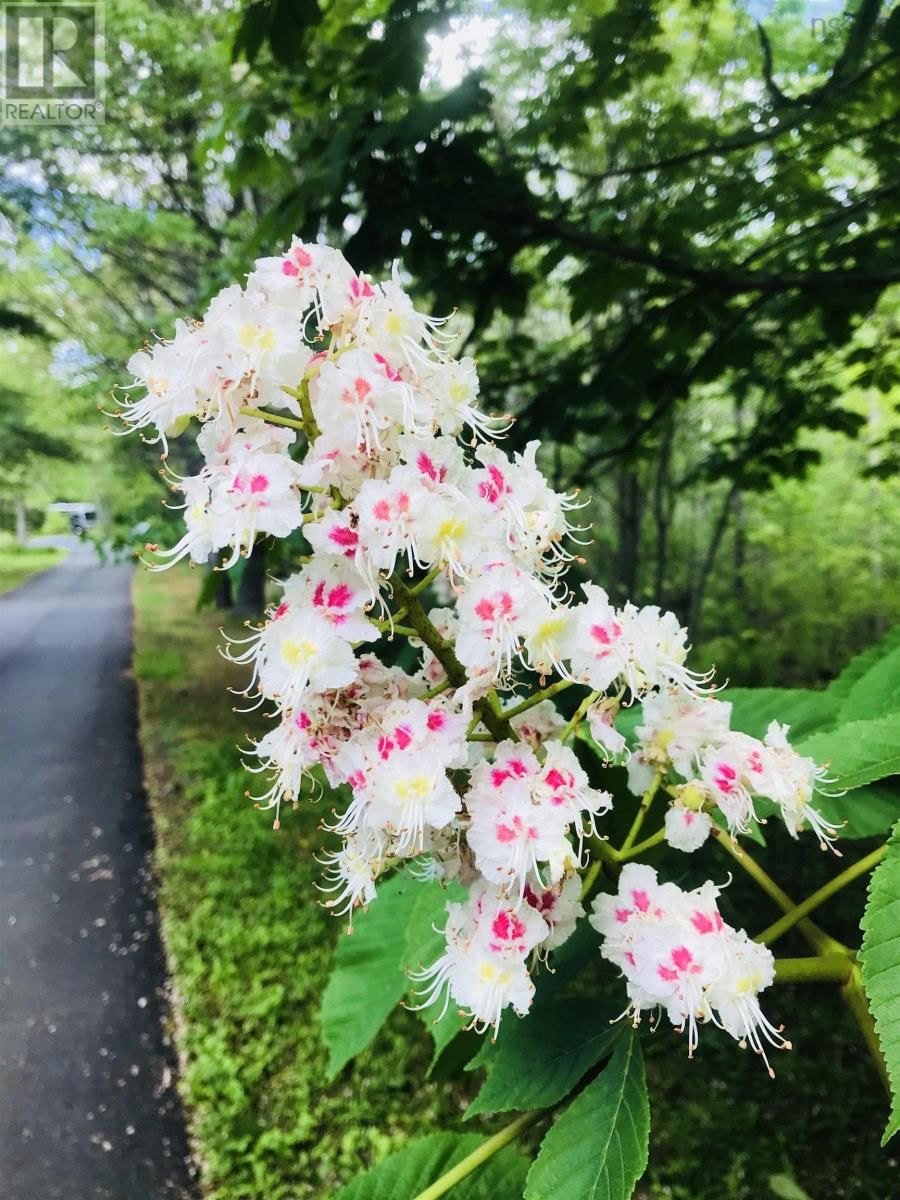 15 COTTAGE LANE Image 14