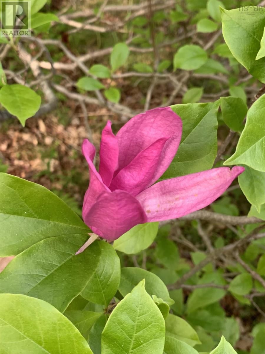 15 COTTAGE LANE Image 18