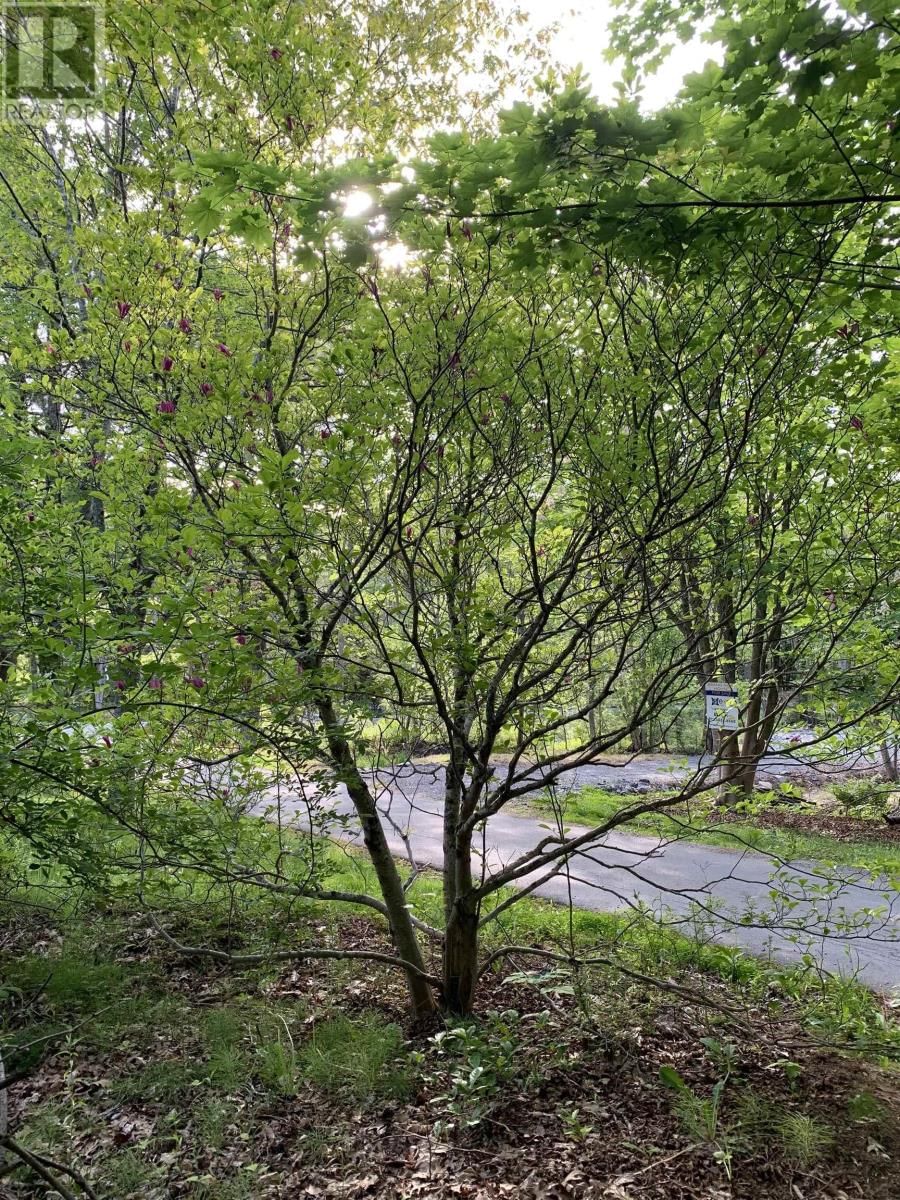 15 COTTAGE LANE Image 2