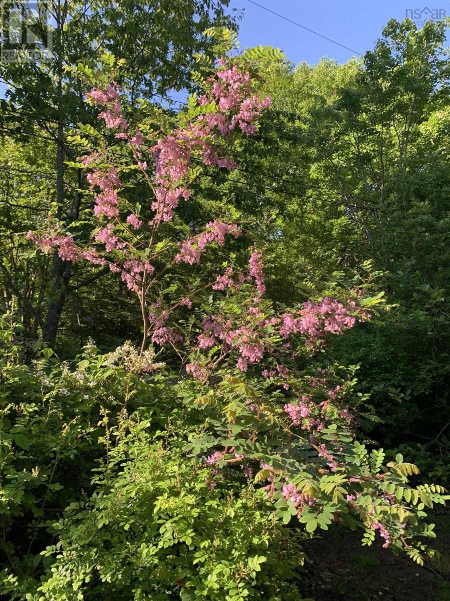 15 COTTAGE LANE Image 20